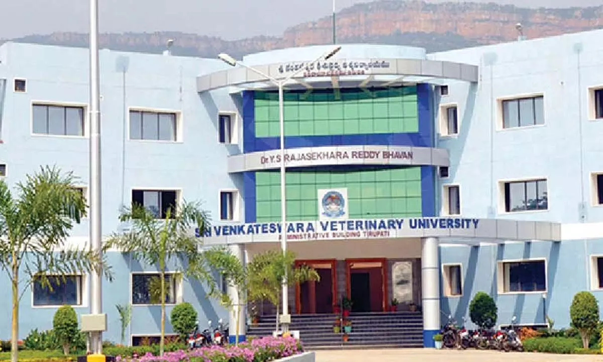 Temple city to become world-class tourism destination Temple city to become world-class tourism destination