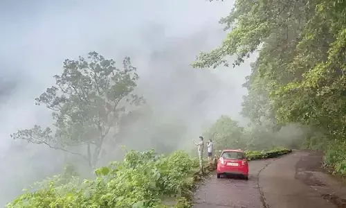 Drop Agumbe tunnel, two-lane highway plan to protect king cobra habitat, local livelihoods