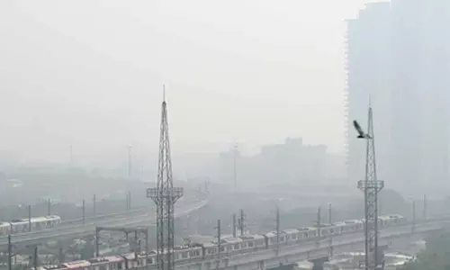 CAQM tells northern states to curb wheat stubble burning during harvest season