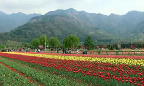 J&K L-G orders reopening of 11 tourist spots in Valley, 3 in Jammu division