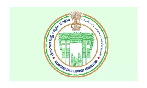 SEC defers indirect elections to 11 ULBs