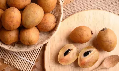 Can People with Diabetes Eat Chickoo? Experts Advise Caution