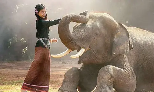 Delhi zoo to launch single-day animal adoptions from March