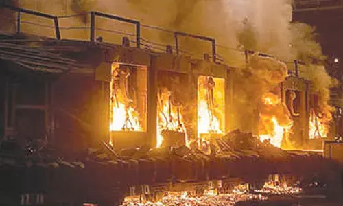 7 dead in chemical factory fire in Raj