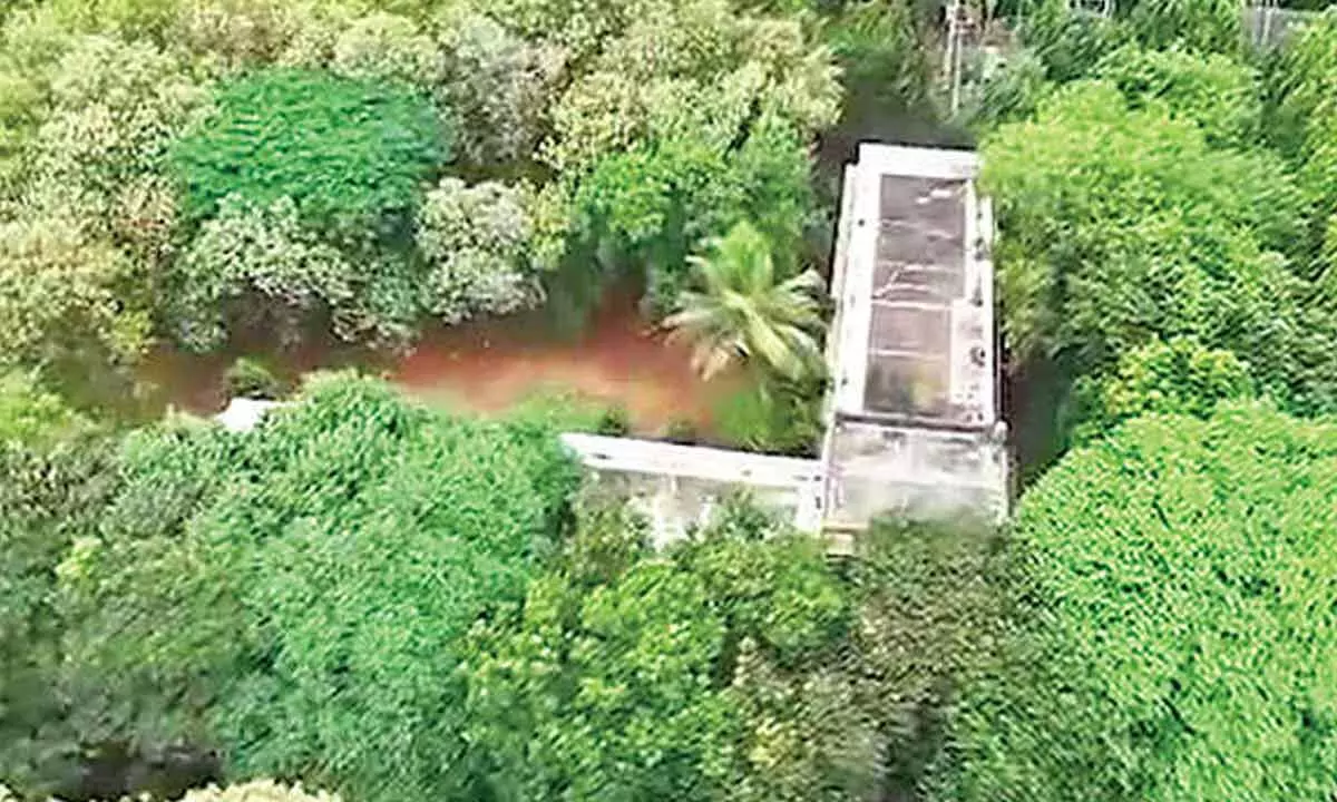 Environmental groups urge CM to protect KSIC land Environmental groups urge CM to protect KSIC land