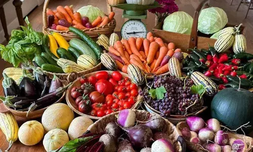 Gardening Guide: Best Summer Vegetables To Plant Now Gardening Guide: Best Summer Vegetables To Plant Now