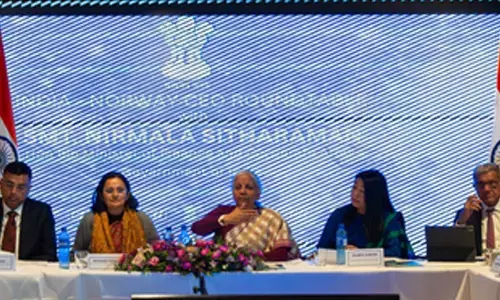 Sitharaman makes strong pitch for FDI in India at CEOs meet in Norway Sitharaman makes strong pitch for FDI in India at CEOs meet in Norway