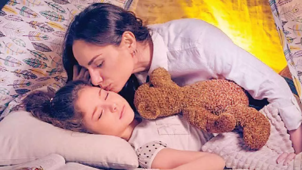 The Science of Comfort Objects The Science of Comfort Objects