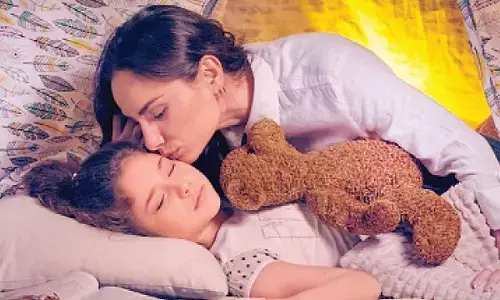 The Science of Comfort Objects