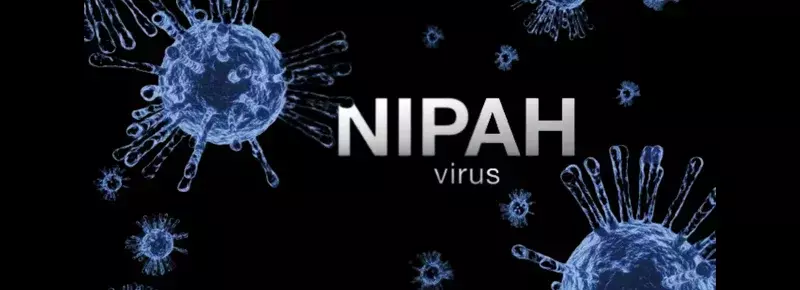 Myths Vs Medical Facts About Nipah Virus - What Doctors Want the Public To Know