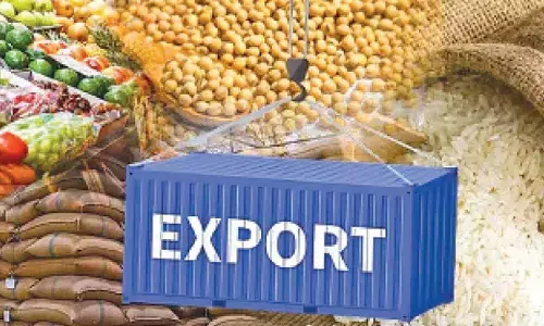 India’s agri products, auto exports making greater inroads in EU
