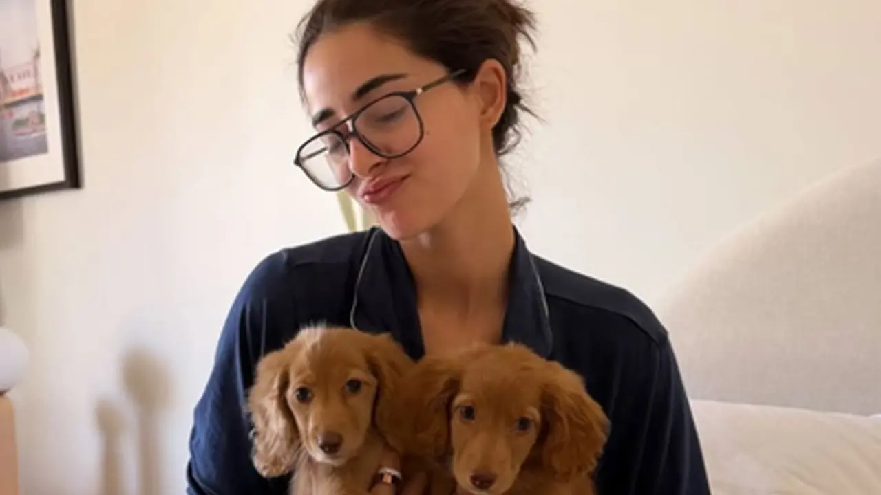 Ananya Panday introduces us to her new furry friends Honey & Thumper Ananya Panday introduces us to her new furry friends Honey & Thumper