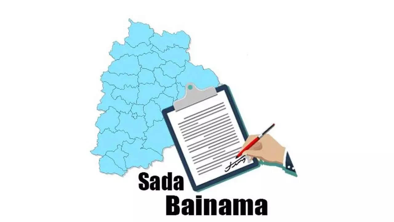 Present status of genuine sadabainamas Present status of genuine sadabainamas