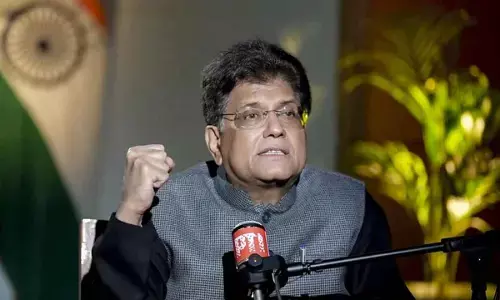 India, US set ball rolling for interim trade pact: Piyush