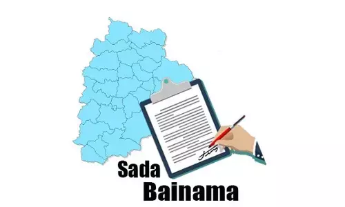 Present status of genuine sadabainamas