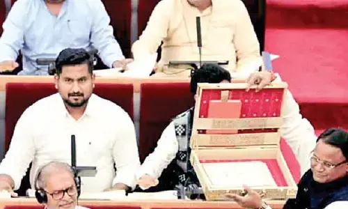 Budget focus on farm, village, women