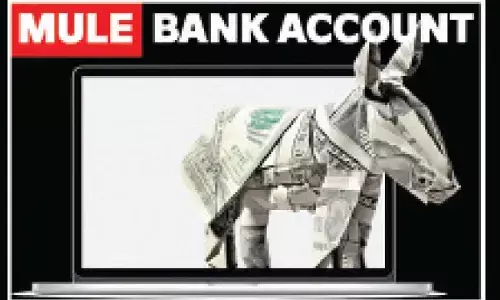 Mule bank accounts frozen in crackdown, 68 held