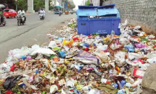 Public urinal, open garbage next to house violates right to live with dignity: HC