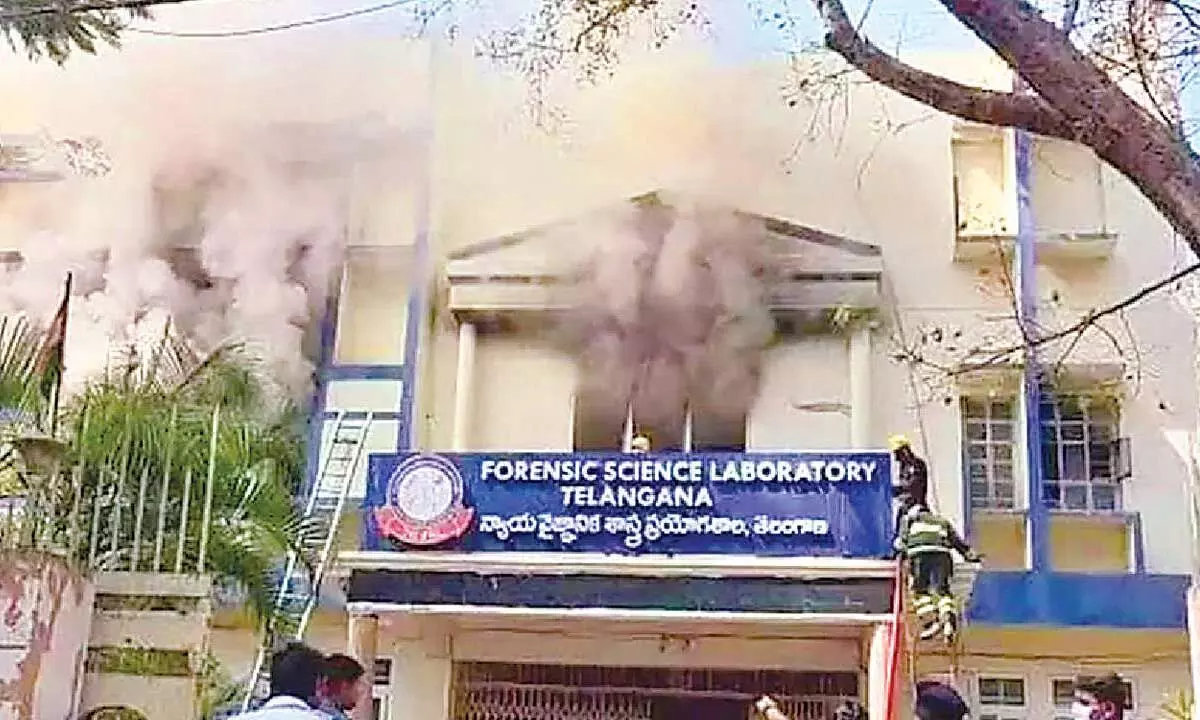 1,100 ‘essential files’ destroyed in FSL ‘fire 1,100 ‘essential files’ destroyed in FSL ‘fire