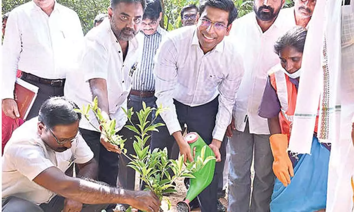 Collector pushes for ‘zero litter governance’ Collector pushes for ‘zero litter governance’