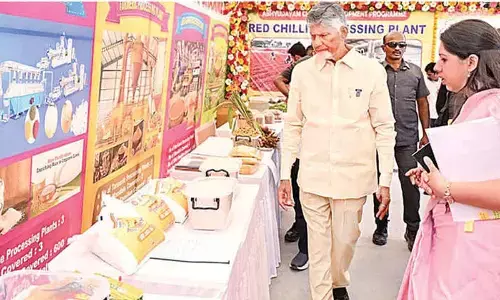 Naidu slams YCP over displaying, discarding Srivari photo in House