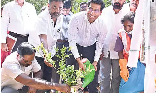 Collector pushes for ‘zero litter governance’