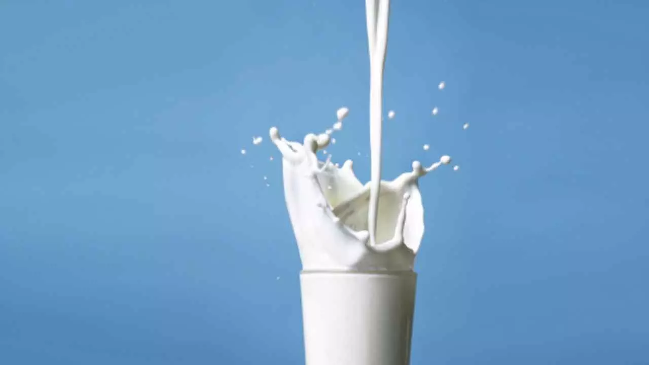 Andhra milk adulteration deaths: CM announces Rs 10 lakh compensation Andhra milk adulteration deaths: CM announces Rs 10 lakh compensation