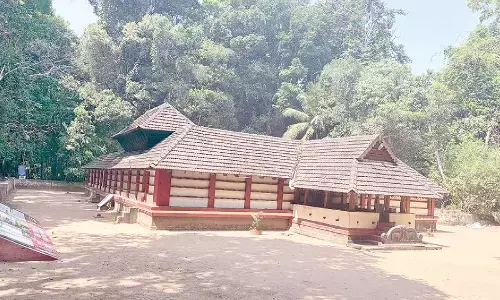 Where forest is the shrine