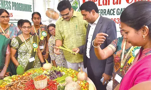 Organic Rythotsavam draws good response