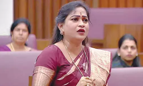 Council witnesses clash over crime and women’s safety