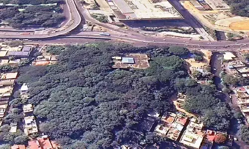 575 trees face felling for ‘Reshme Bhavan’ in Okalipuram; proposal before GBA