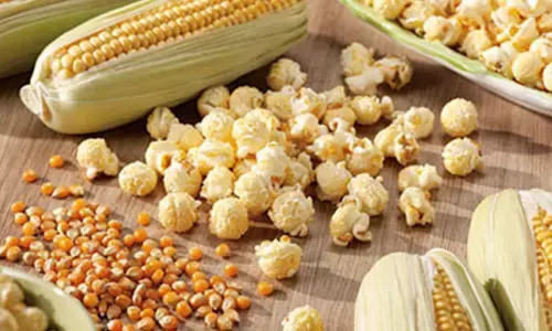 The health benefits of maize and popcorn: Are they healthy?