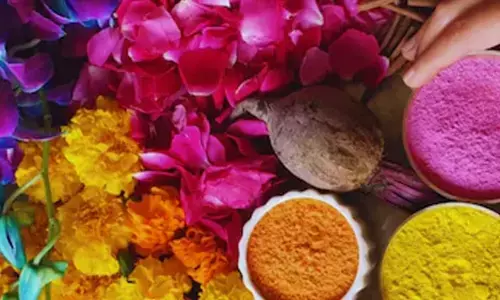 Holi To Chaitra Navratri: Major Hindu Festivals In March 2026
