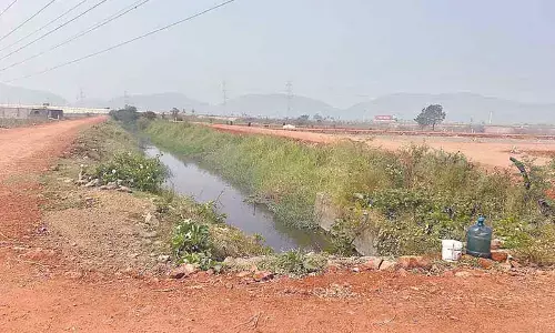 Chemical contamination in GPLIS Canal kills fish, alarms farmers