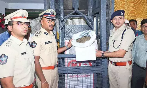 35,268 kg of cannabis destroyed in Anakapalli 35,268 kg of cannabis destroyed in Anakapalli