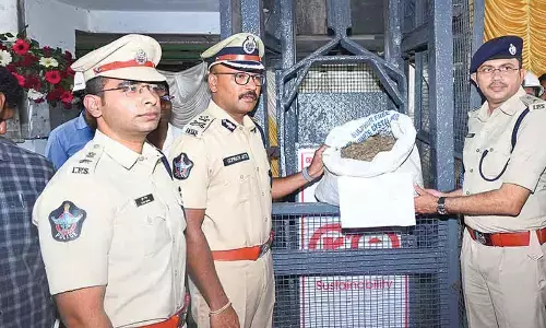 35,268 kg of cannabis destroyed in Anakapalli