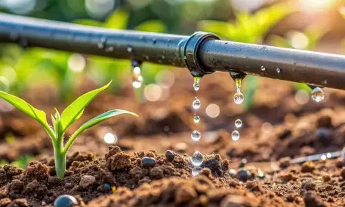 Amazon collaborates with Netafim to save ~325 million litres of water a year in Bengaluru and Hyderabad