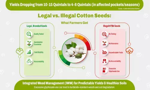 Protect Yields and Soil Health: Industry Urges Farmers to Avoid Illegal Cotton Seeds