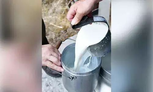 AP crackdown after milk contamination claims 5 lives