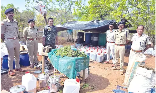 Koraput police seize hashish oil worth Rs 225 cr