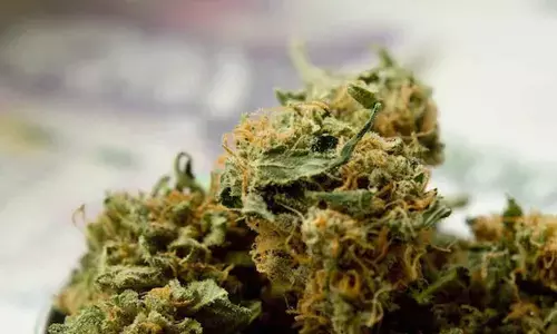 Inter-state ganja racket busted