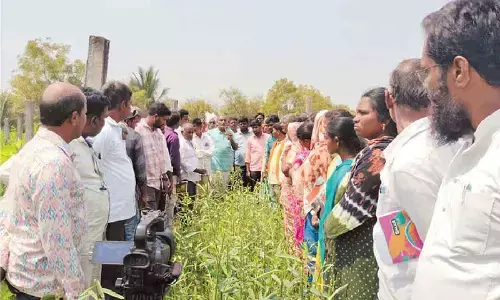 Promote herbal remedies for farmers