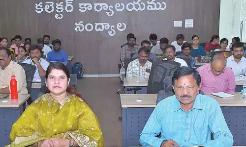 Accelerate mapping of golden families, strengthen P4 implementation: Collector