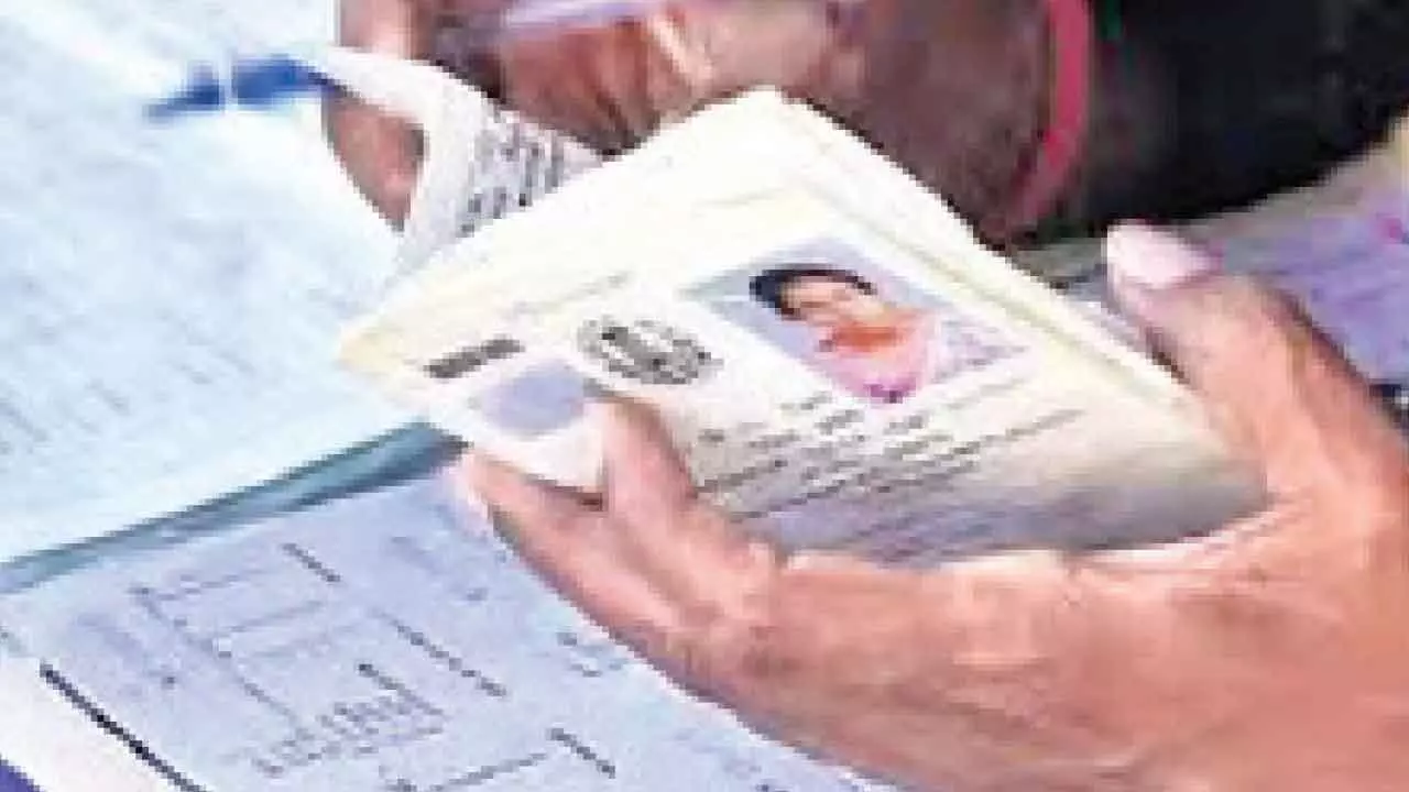 Delhi govt will issue 2 lakh ration cards this year: CM Delhi govt will issue 2 lakh ration cards this year: CM