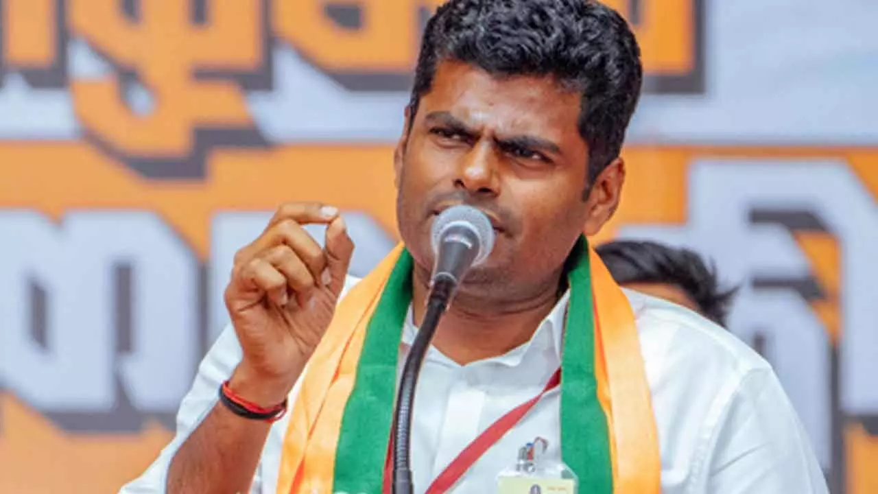 Public will judge his politics: Annamalai refuses to politicise Vijay's personal life