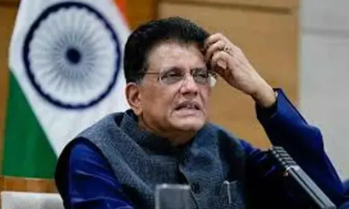 India to protect its interests in trade deal with US: Piyush