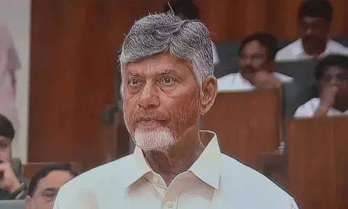 5-pronged strategy to push agri growth in state: Naidu 5-pronged strategy to push agri growth in state: Naidu