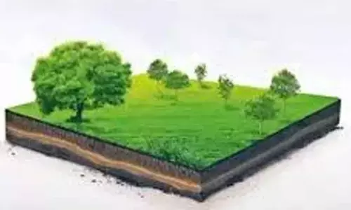 KPHB Housing Board properties fetch record Rs 24.26 cr revenue