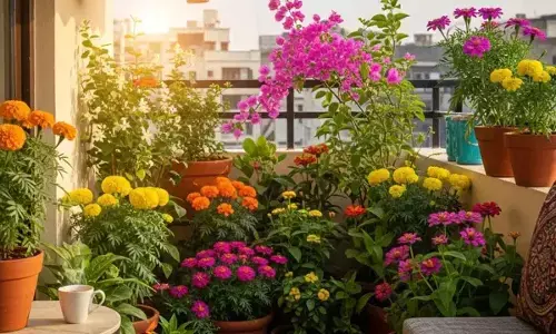 Spring-Ready Balcony: Easy Plants That Bloom With Minimal Care