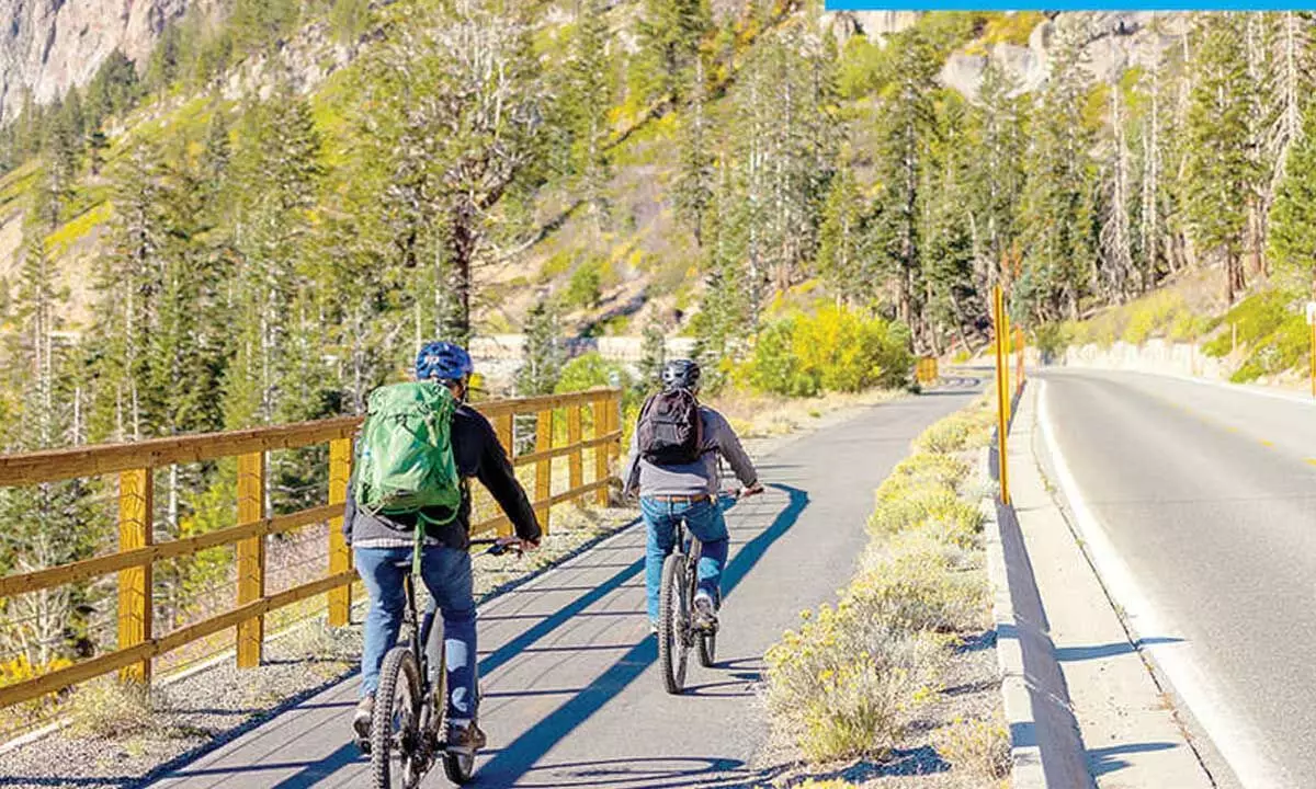 Biking adventures with unmissable food stops along mammoth lakes Biking adventures with unmissable food stops along mammoth lakes